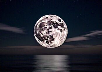 ಮಧುಪಾತ್ರೆ