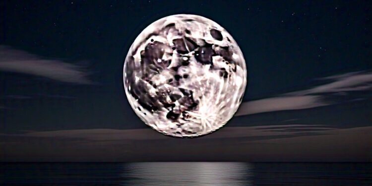 ಮಧುಪಾತ್ರೆ