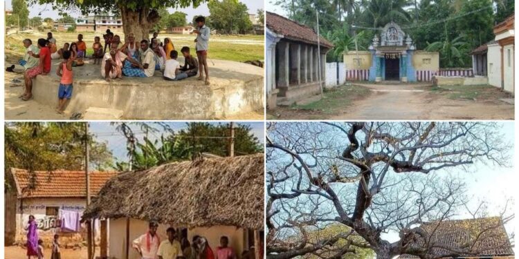 Pic: Noufal Thottathil & Veda