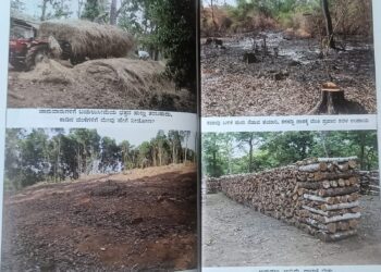 ಕಚ್ಚುವ ನಾಯಿಗೆ ಬಿರಿಯಾನಿ, ಹಾಲು ಕೊಡುವ ದನಗಳಿಗೆ ಹುಲ್ಲಿಲ್ಲ!